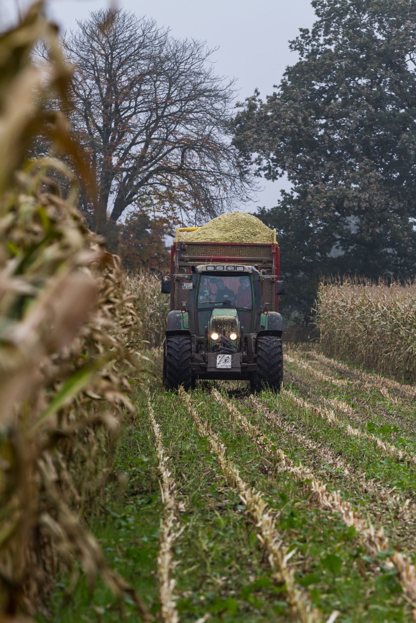 Bild 113 - Biogas am 21.10.12